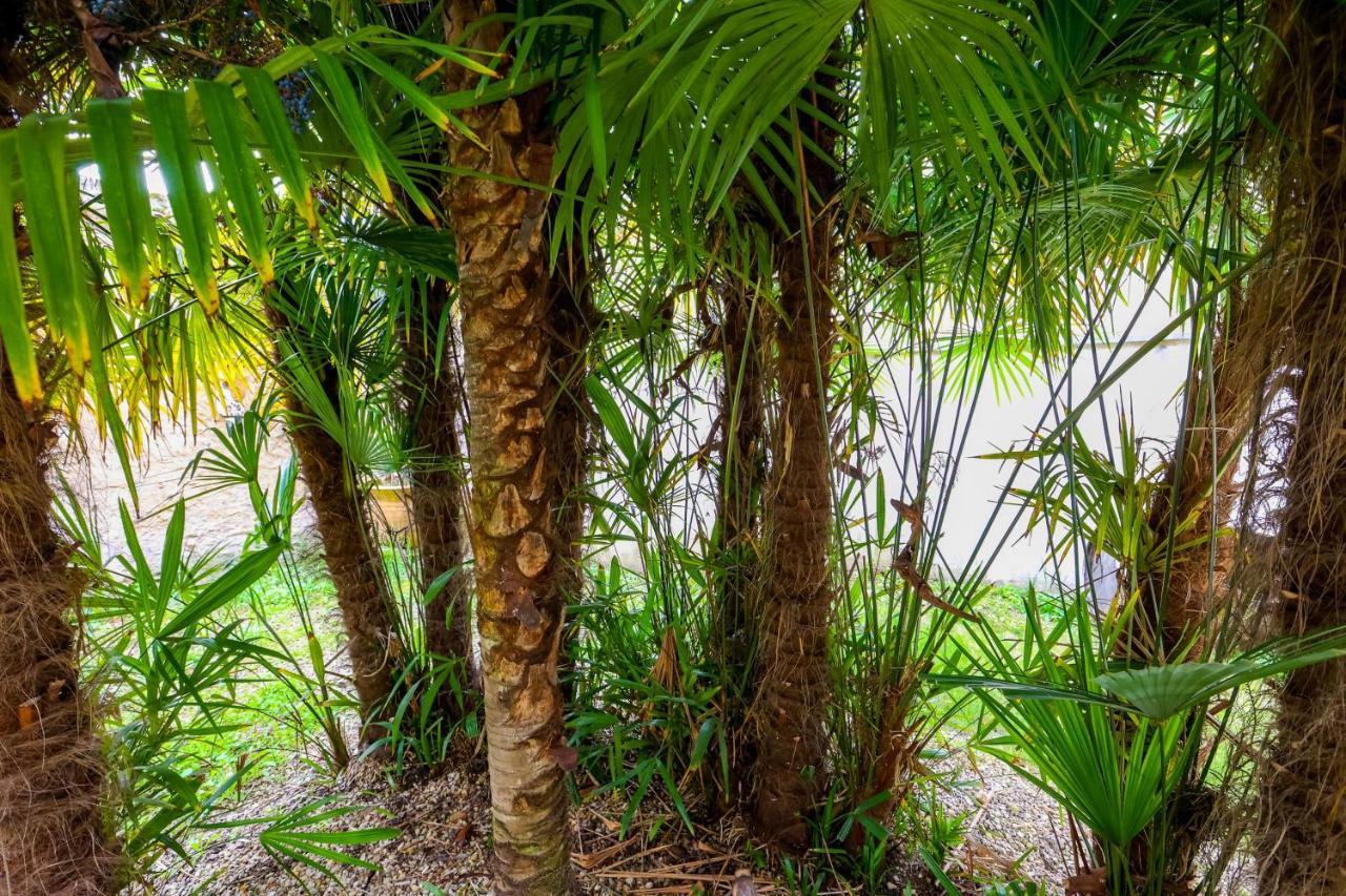 Le Cordon Bleu # Vieux-Cognac # Jardin Exterior photo